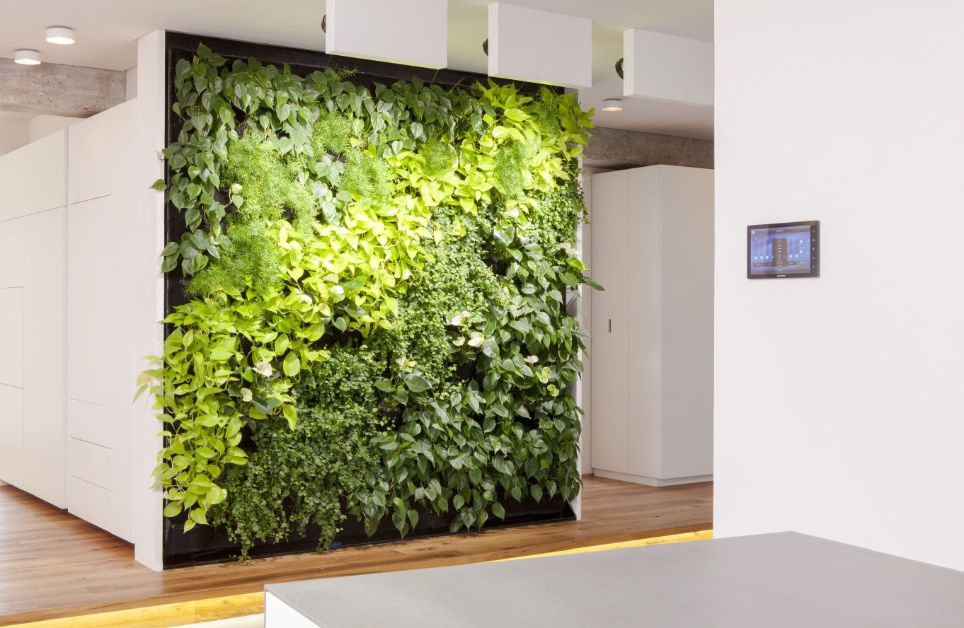 Zwinz Loft bepflanzte Wand Pflanzen begrünt › Echt Zwinz Zwinz Loft bepflanzte Wand Pflanzen begrünt › Echt Zwinz